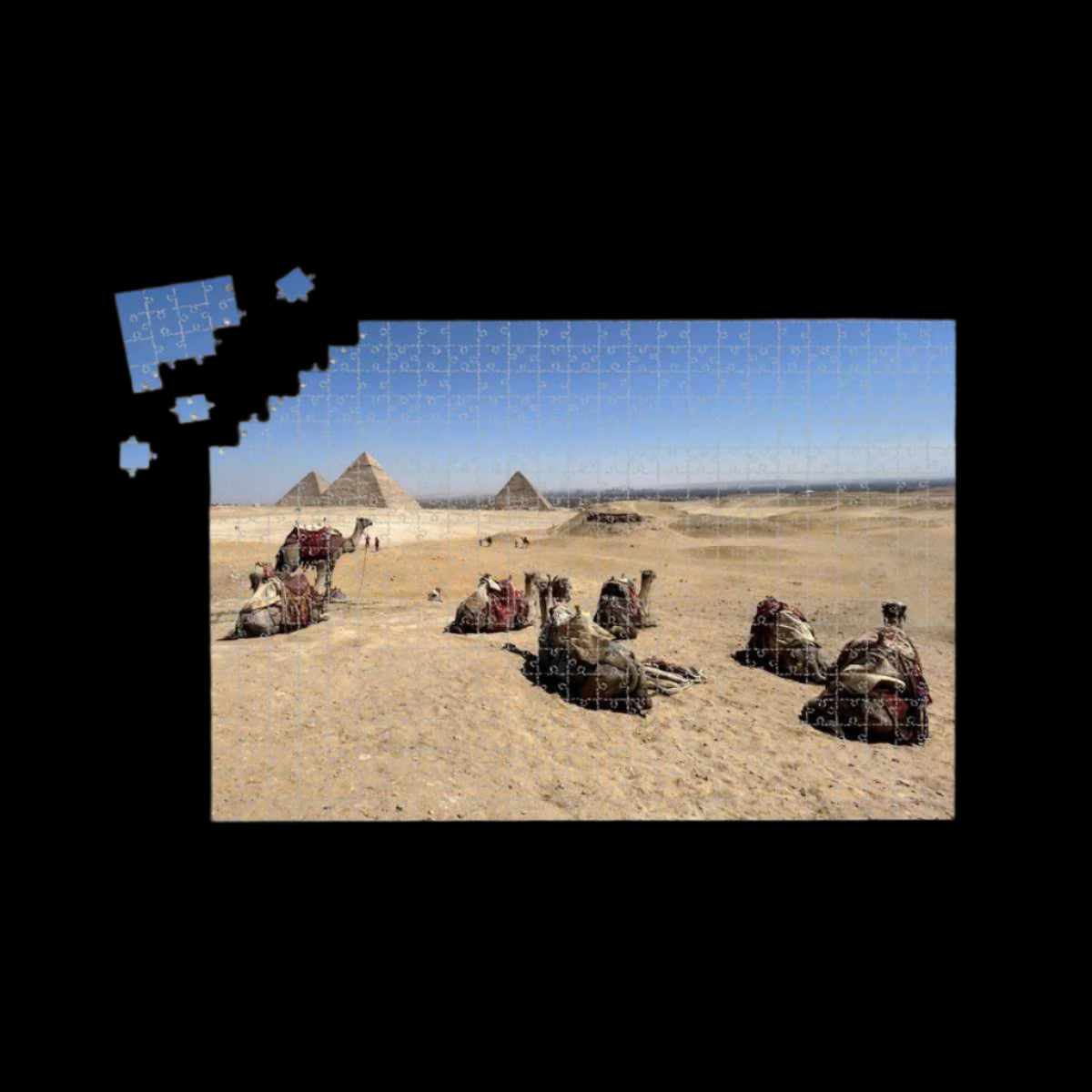 1000-piece wooden puzzle of camels resting on the Giza Plateau, with pyramids and Giza skyline in full color