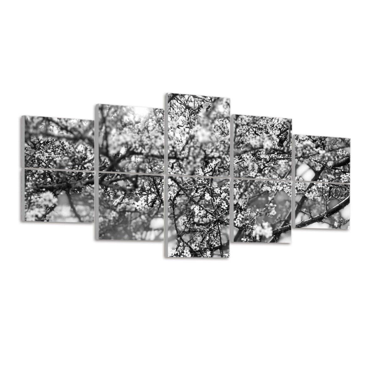 Left-angled view of black and white floral wall art with blurred branches and blossoms split between 10 acoustic panels.