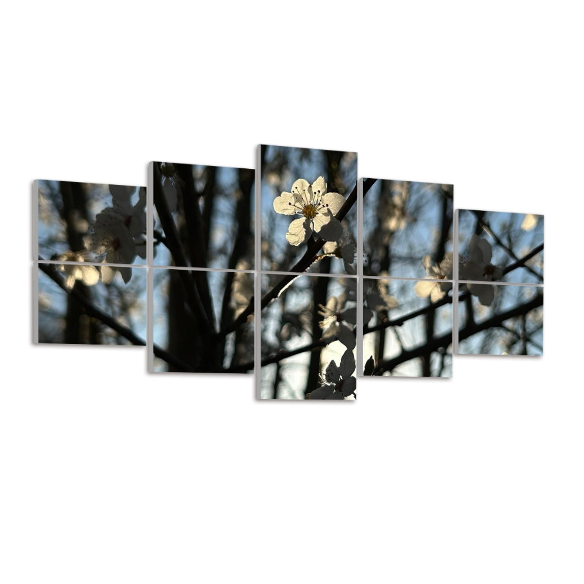Left-angled view of 10 acoustic panels featuring backlit white flowers against tree branches and pale blue sky in full color.
