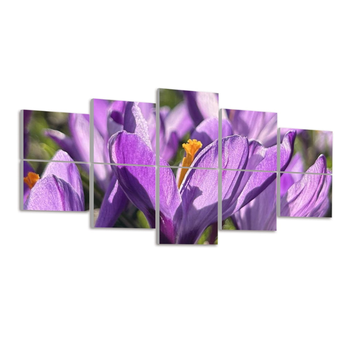 Left-angled view of 10 full color acoustic panels showing rich purple petals and yellow flower centers in bright natural light.