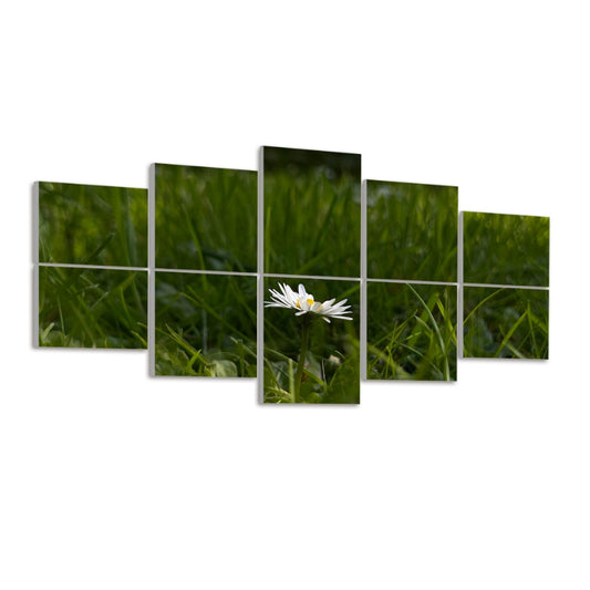 Left view, Ten panels in a 2×5 grid reveal a daisy and grass in natural green and white hues on a white wall