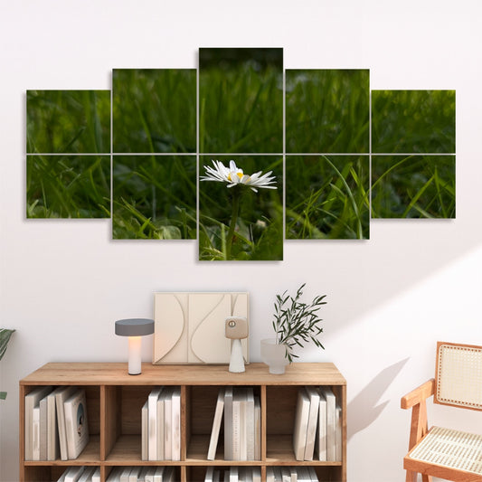 Ten panels in a 2×5 grid reveal a daisy and grass in natural green and white hues on a white wall