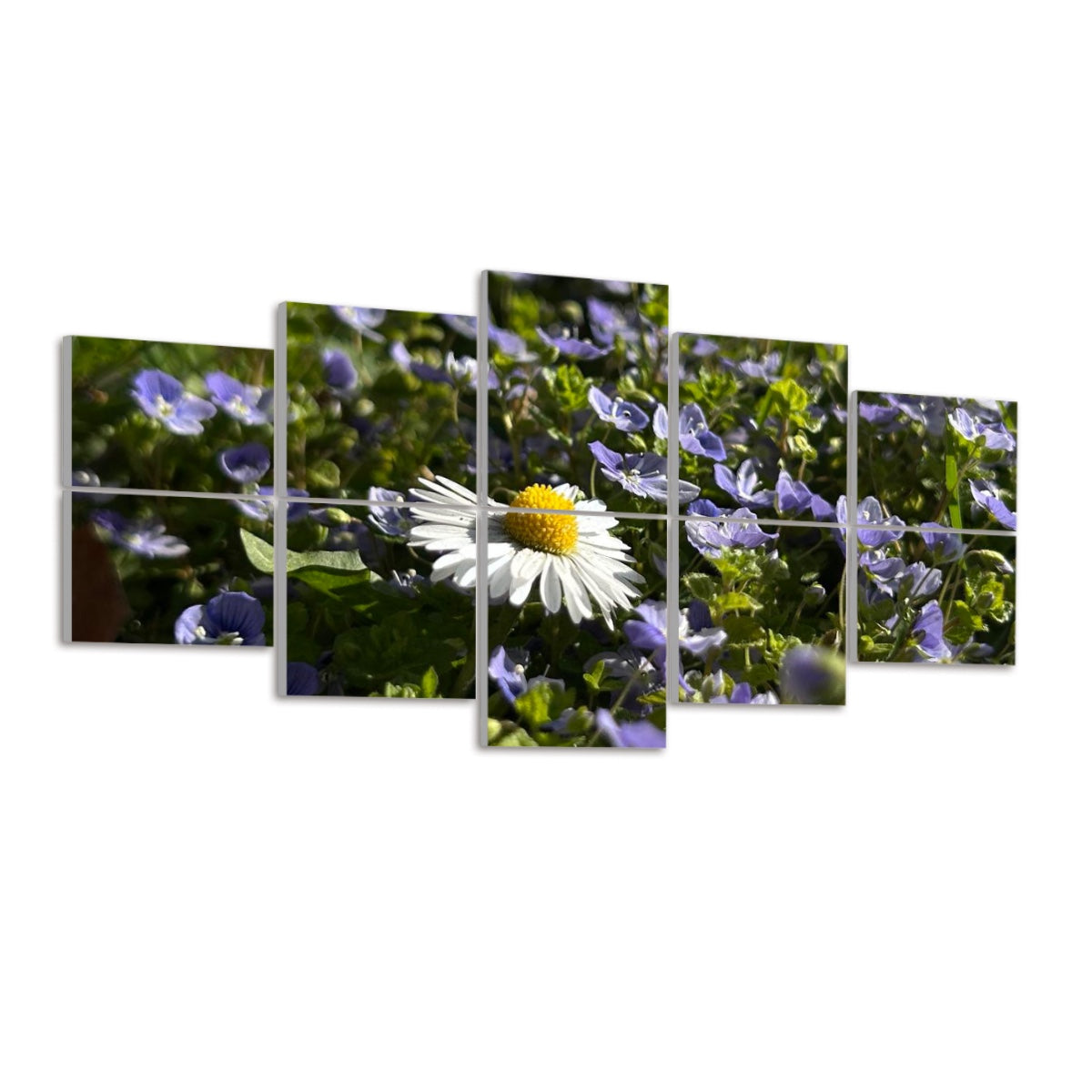 Left-angled view of full color acoustic panels featuring a daisy and purple blooms under sunlight.