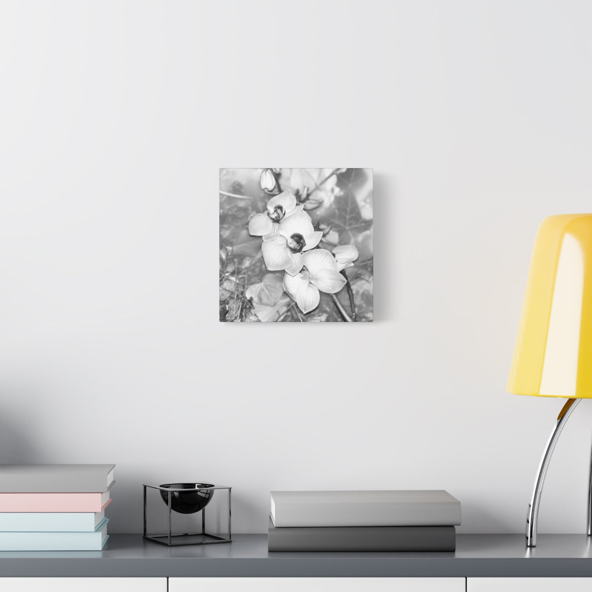 black and white canvas featuring close up of orchids, square, size: 10''x10''