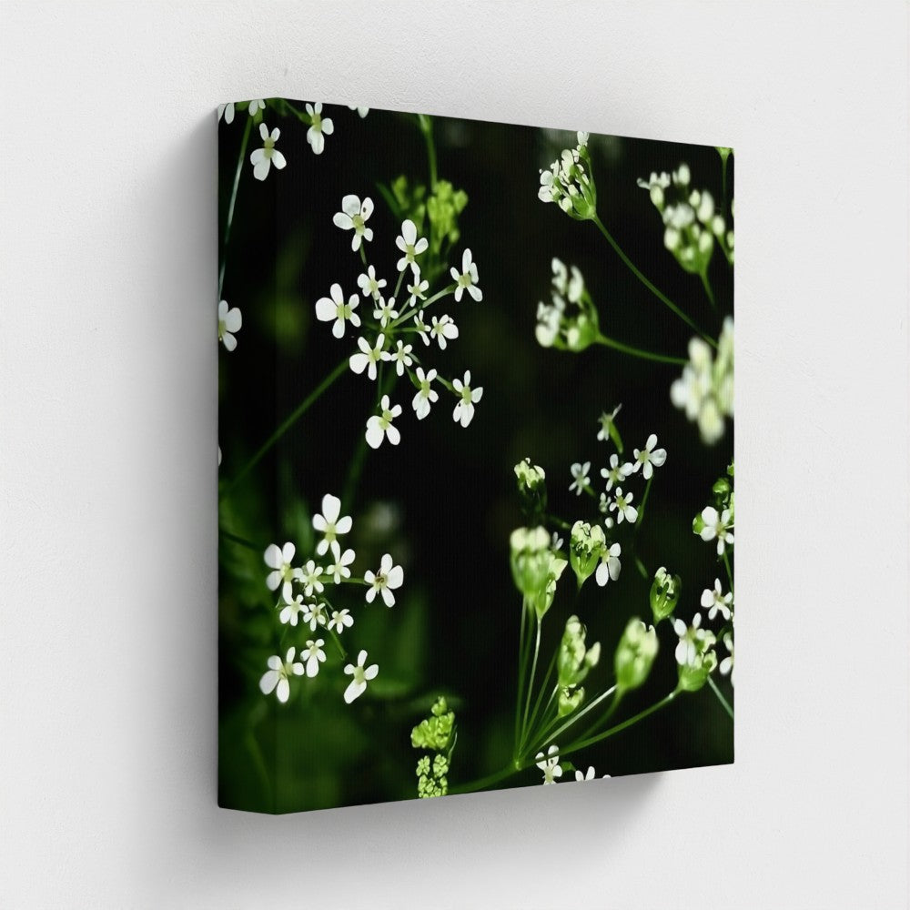 Eco-Friendly Recycled Floral Canvas featuring delicate white flowers on dark background by Papi's Canvas