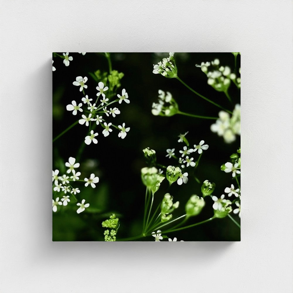 Eco-Friendly Recycled Floral Canvas showing delicate white flowers on green stems by Papi's Canvas