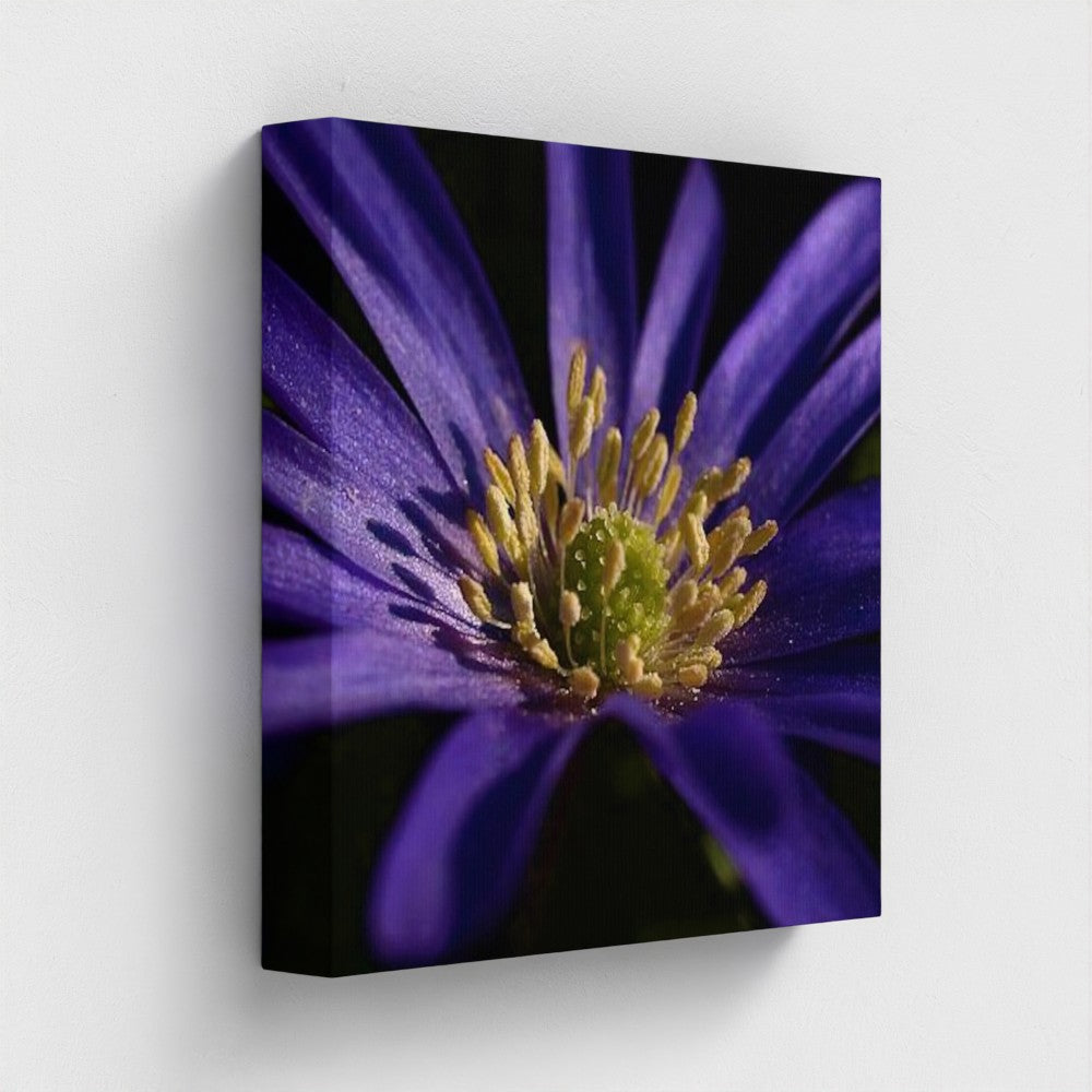 side view of canvas print made with recycled materials and vegan inks featuring close up of purple anemone, size: 12''x12''