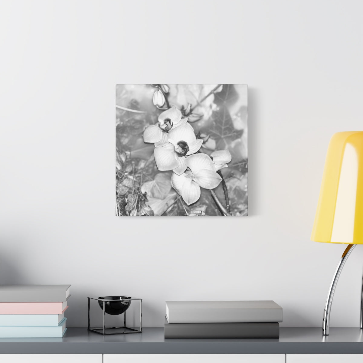 black and white canvas featuring close up of orchids, square, size: 14''x14''
