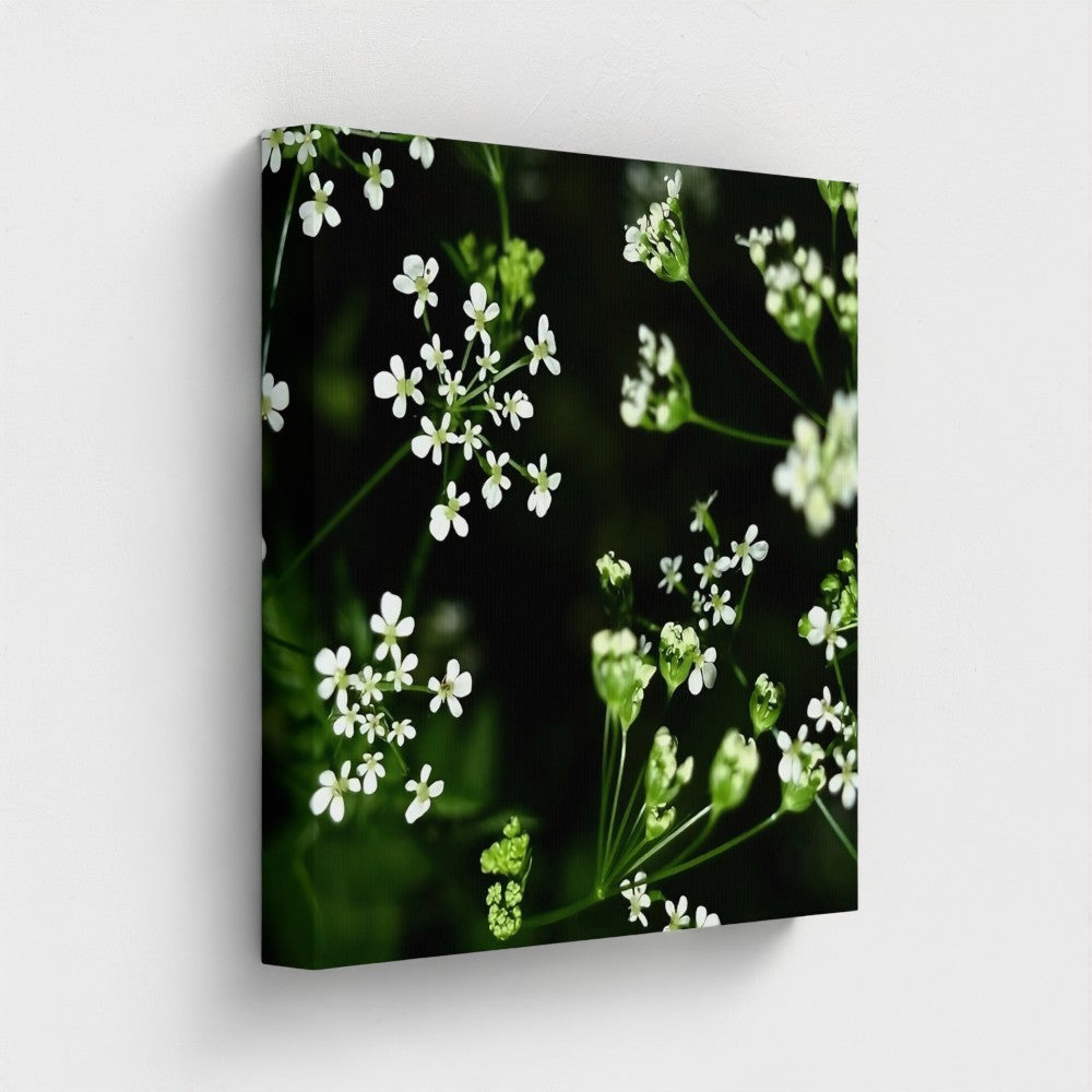 Eco-Friendly Recycled Floral Canvas by Papi's Canvas featuring white small flowers on a dark green background