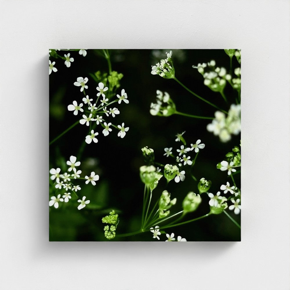 Eco-Friendly Recycled Floral Canvas by Papi's Canvas featuring delicate white flowers on dark green background