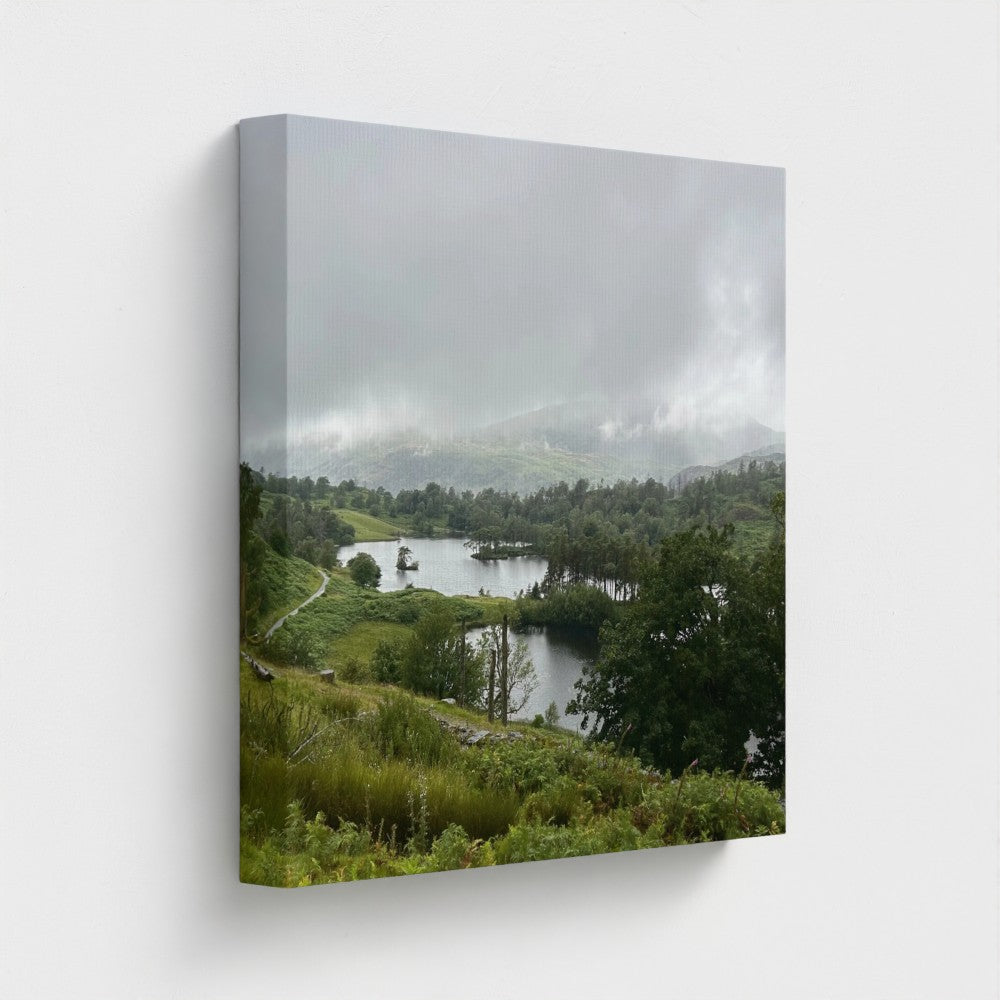Recycled Canvas Wall Art Tarn Hows Lake District Landscape larger square focusing on foreground heather textures beneath low cloud.