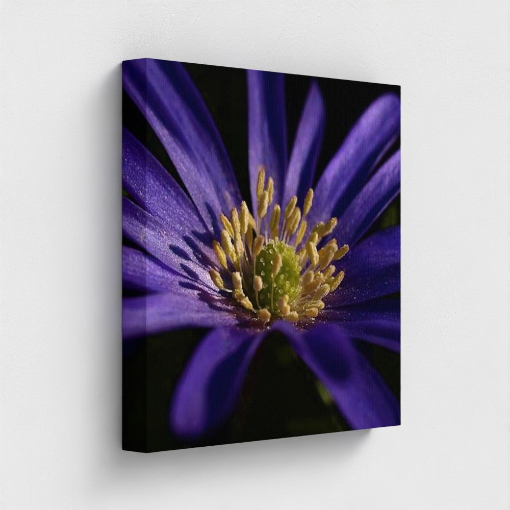 side view of canvas print made with recycled materials and vegan inks featuring close up of purple anemone, size: 16''x16''