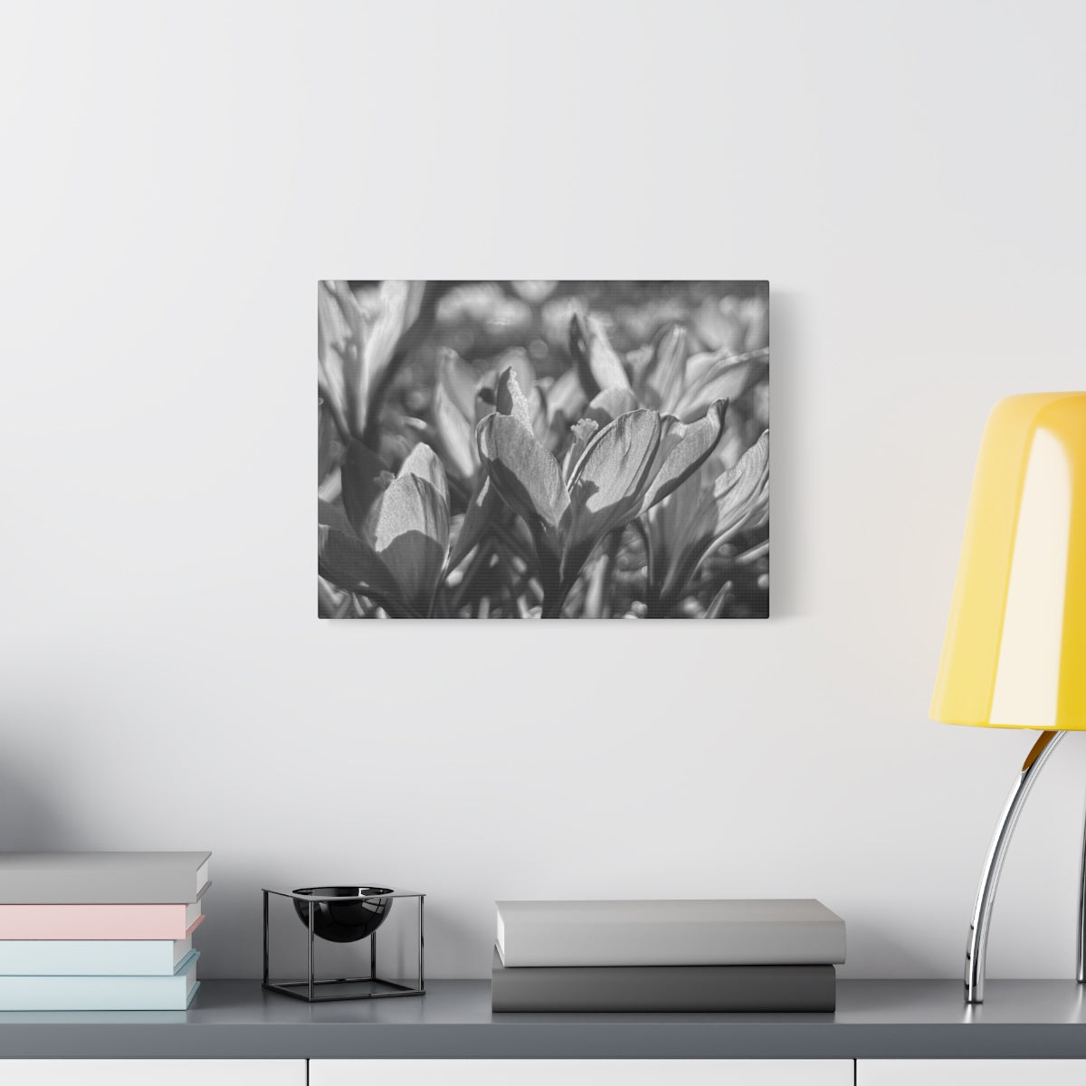black and white floral canvas with crocus, size: 16''x12''