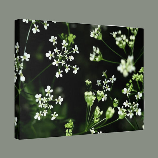 floral canvas print featuring white little flowers on black and green background size: 16''x12''