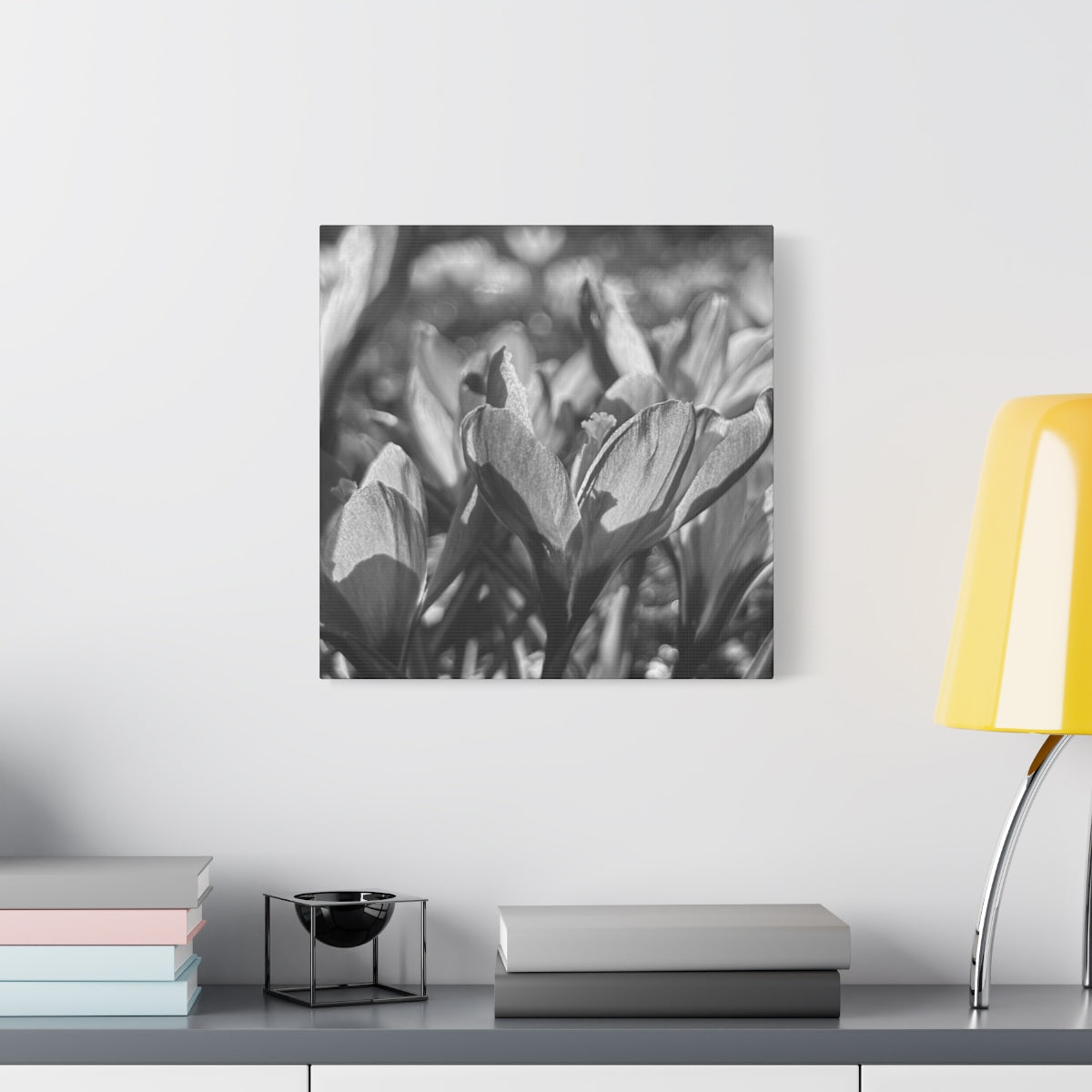 black and white floral canvas with crocus, size: 16''x16''