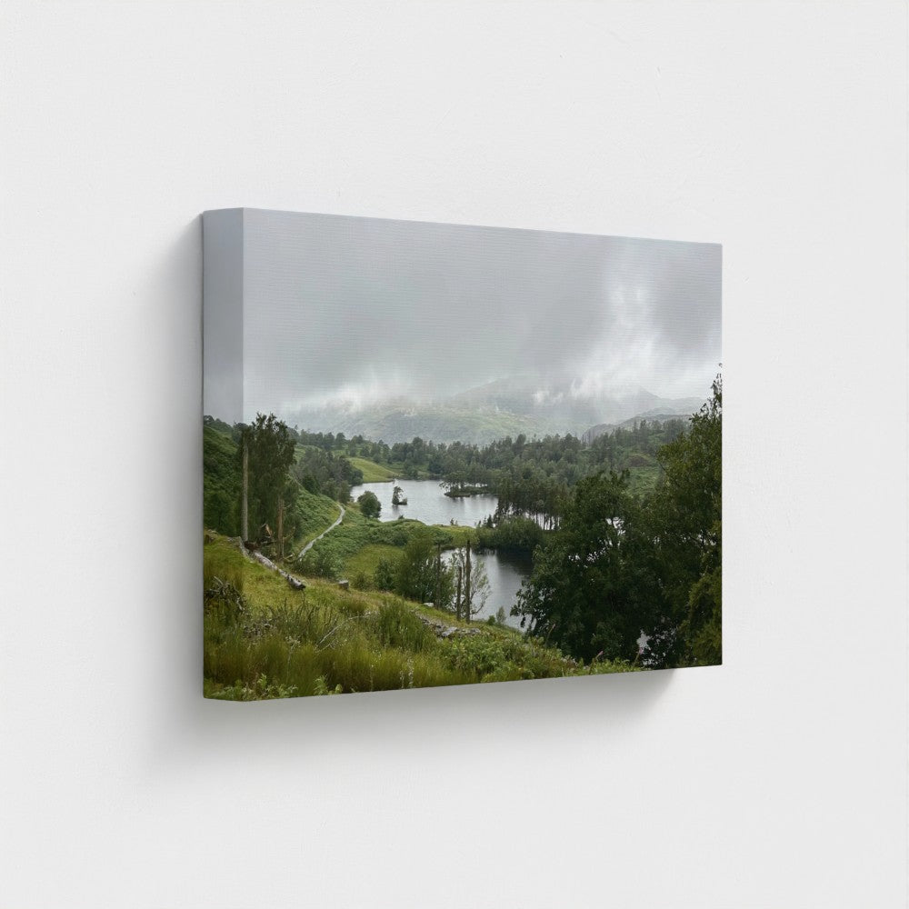 Recycled Canvas Wall Art Tarn Hows Lake District Landscape panoramic proportion emphasizing gentle S shaped shoreline and subdued light.