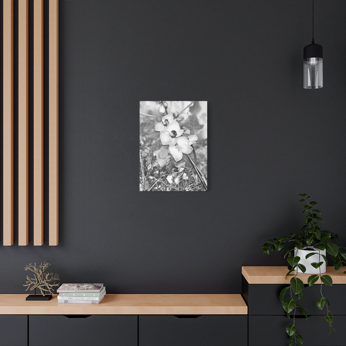 black and white canvas featuring close up of orchids, vertical, size: 18''x24''