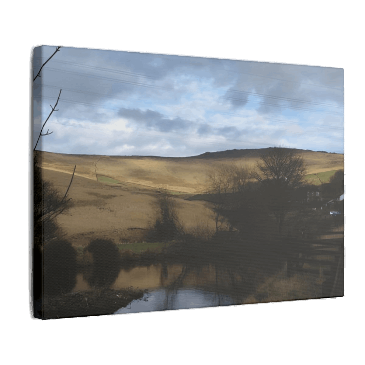 Giclée Canvas Print