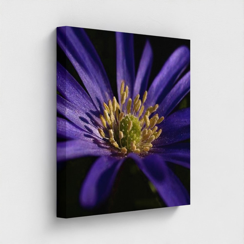 side view of canvas print made with recycled materials and vegan inks featuring close up of purple anemone, size: 20''x20''