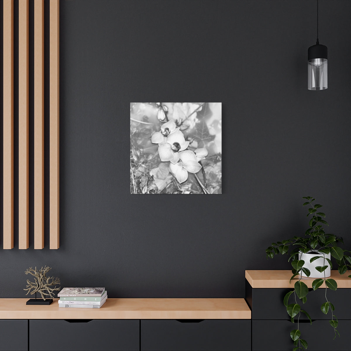 black and white canvas featuring close up of orchids, square, size: 24''x24''