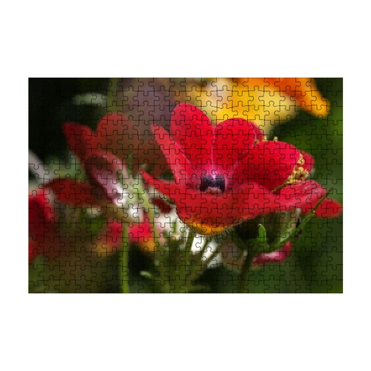 300-piece basswood jigsaw puzzle showing a vibrant close-up of a red Nemesia flower in full color, size 15" x 10.2"