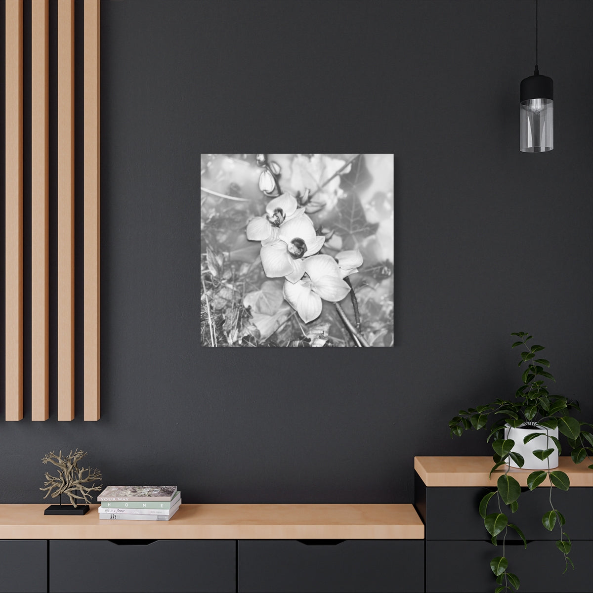 black and white canvas featuring close up of orchids, square, size: 30''x30''