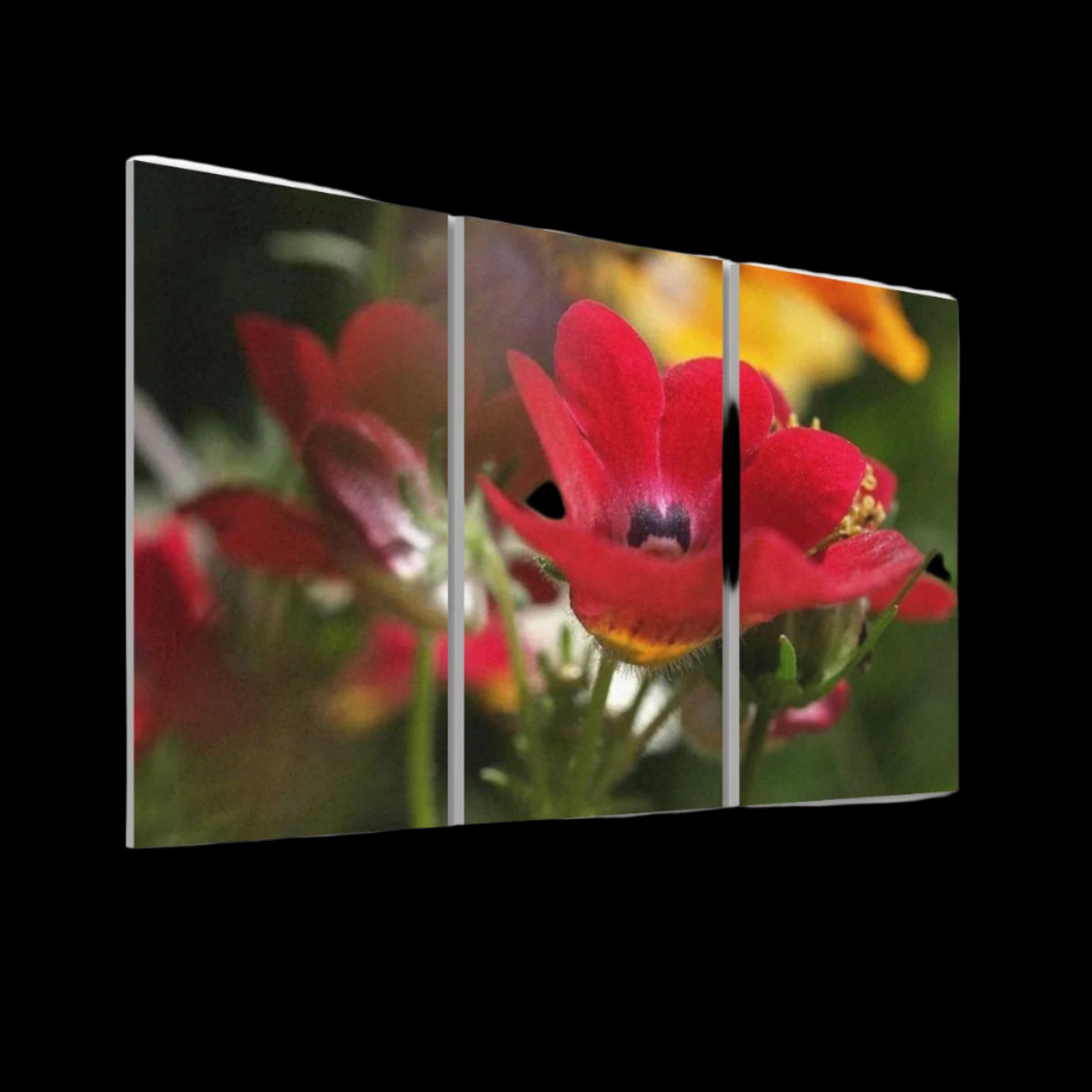 3 floral decorative sound absorbing panels featuring close up image of red flower, color: original