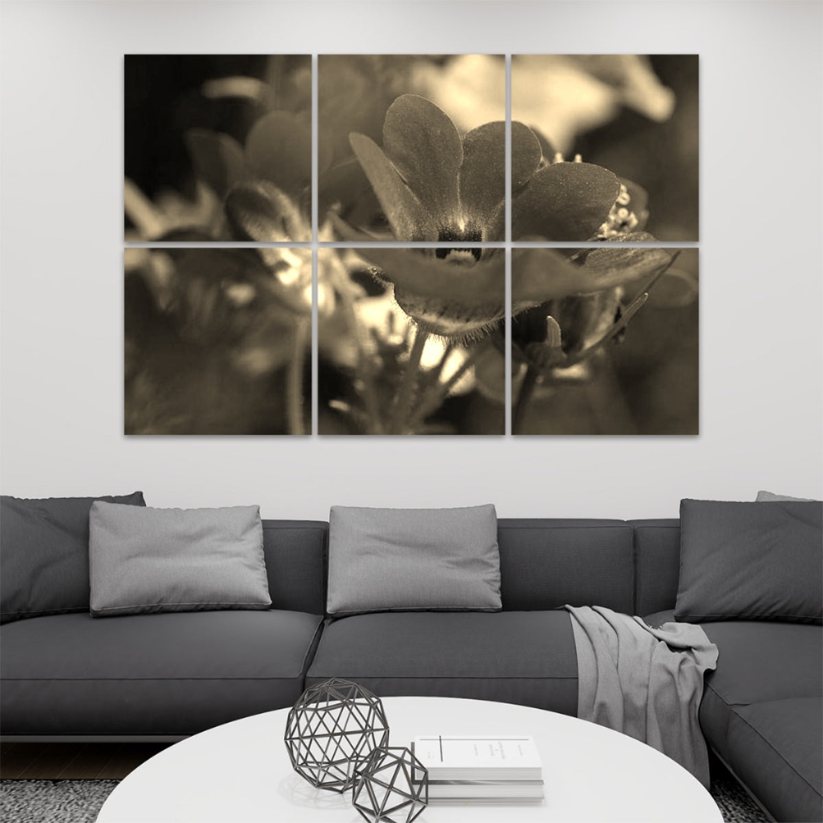 6 floral decorative sound absorbing wall panels featuring close up image of red flower, color: sepia