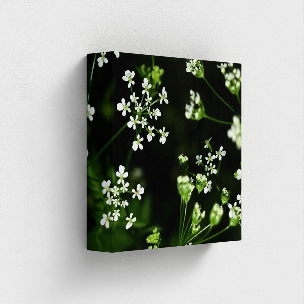 Eco-Friendly Recycled Floral Canvas featuring delicate white flowers on a dark green background by Papi's Canvas