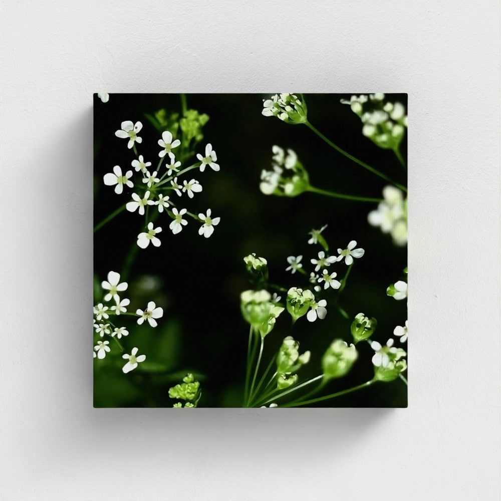 Eco-Friendly Recycled Floral Canvas featuring delicate white flowers and green stems on a dark background