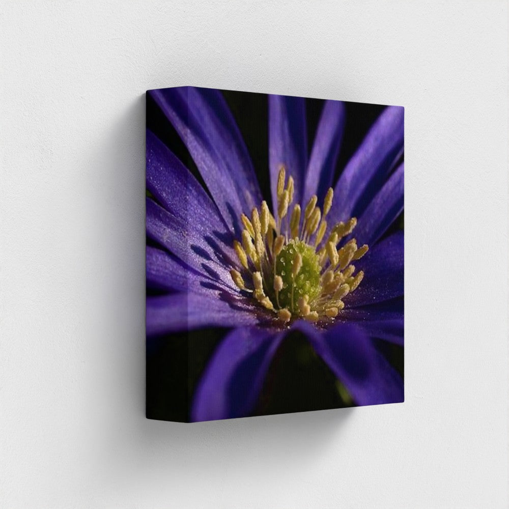 side view of canvas print made with recycled materials and vegan inks featuring close up of purple anemone, size: 8''x8''