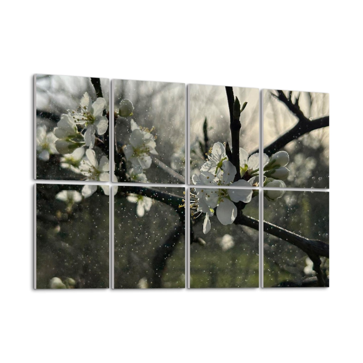 Left angle view of white blossoms in soft backlight and rain, printed on 8 full-color acoustic wall panels with natural greens and warm light.