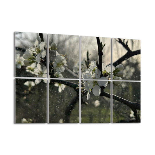 Left angle view of white blossoms in soft backlight and rain, printed on 8 full-color acoustic wall panels with natural greens and warm light.