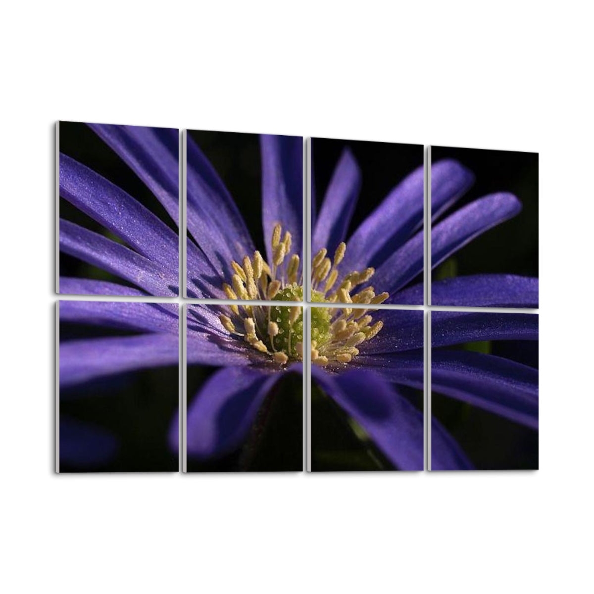 Angled side view from the left showing depth and detail of 8 acoustic wall panels with a vibrant purple anemone floral design.