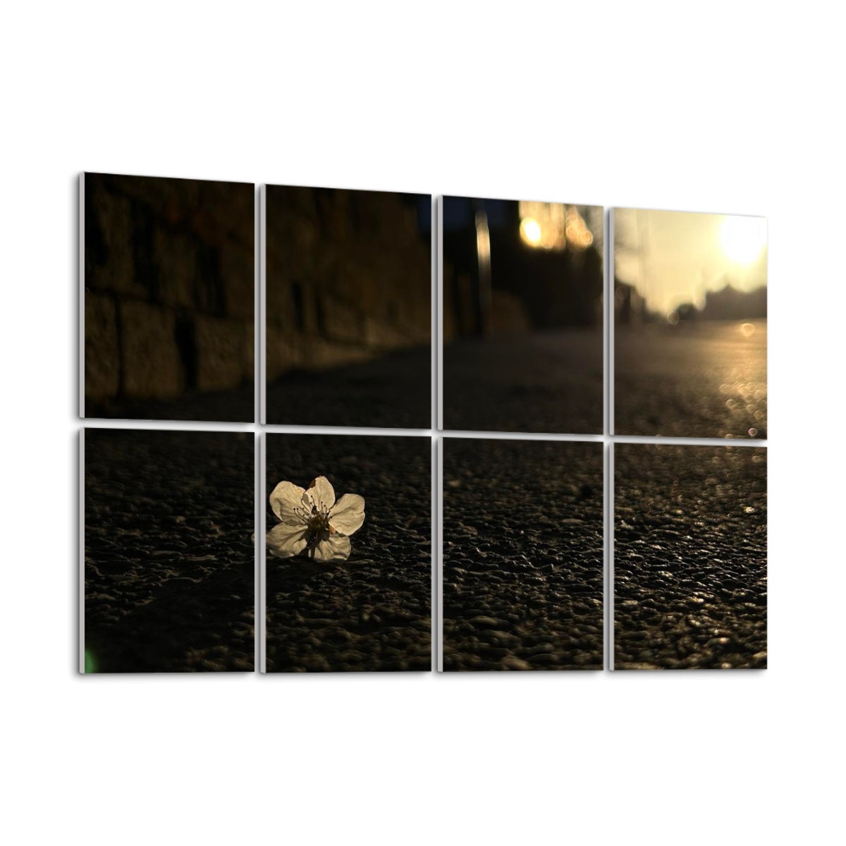 Left side view of full-color acoustic wall panels featuring a white blossom on textured asphalt in warm sunset light across 8 decorative panels.