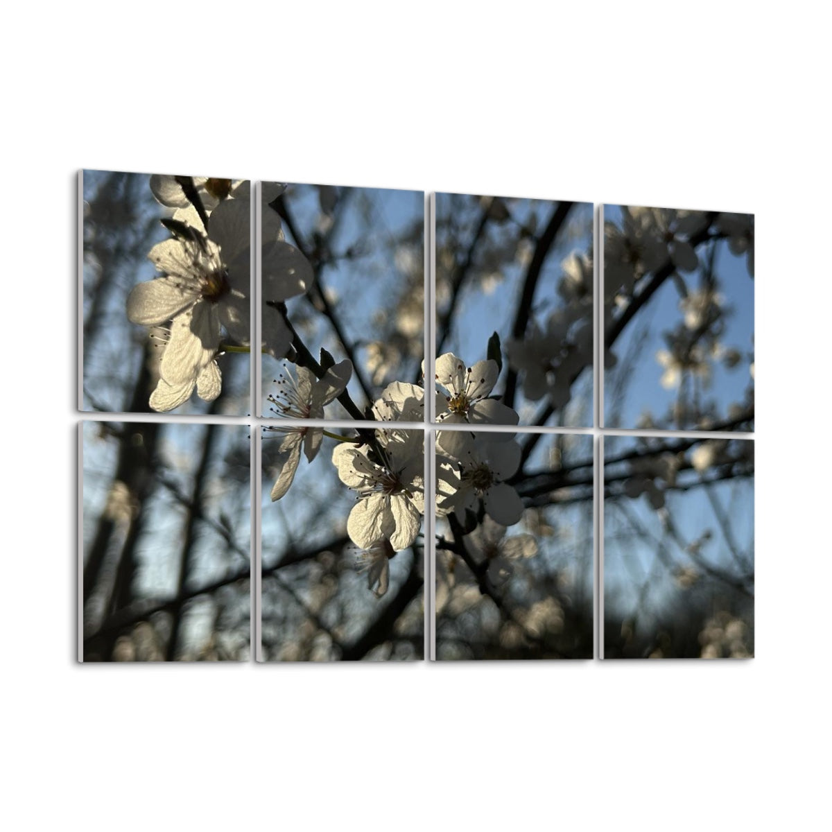 Left angle of 8-panel floral wall art showing blooming white blossoms and shadows against a bright blue spring sky.