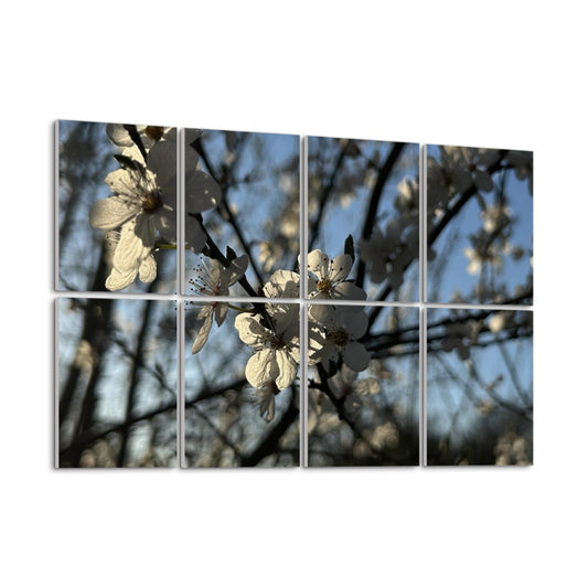 Left angle of 8-panel floral wall art showing blooming white blossoms and shadows against a bright blue spring sky.