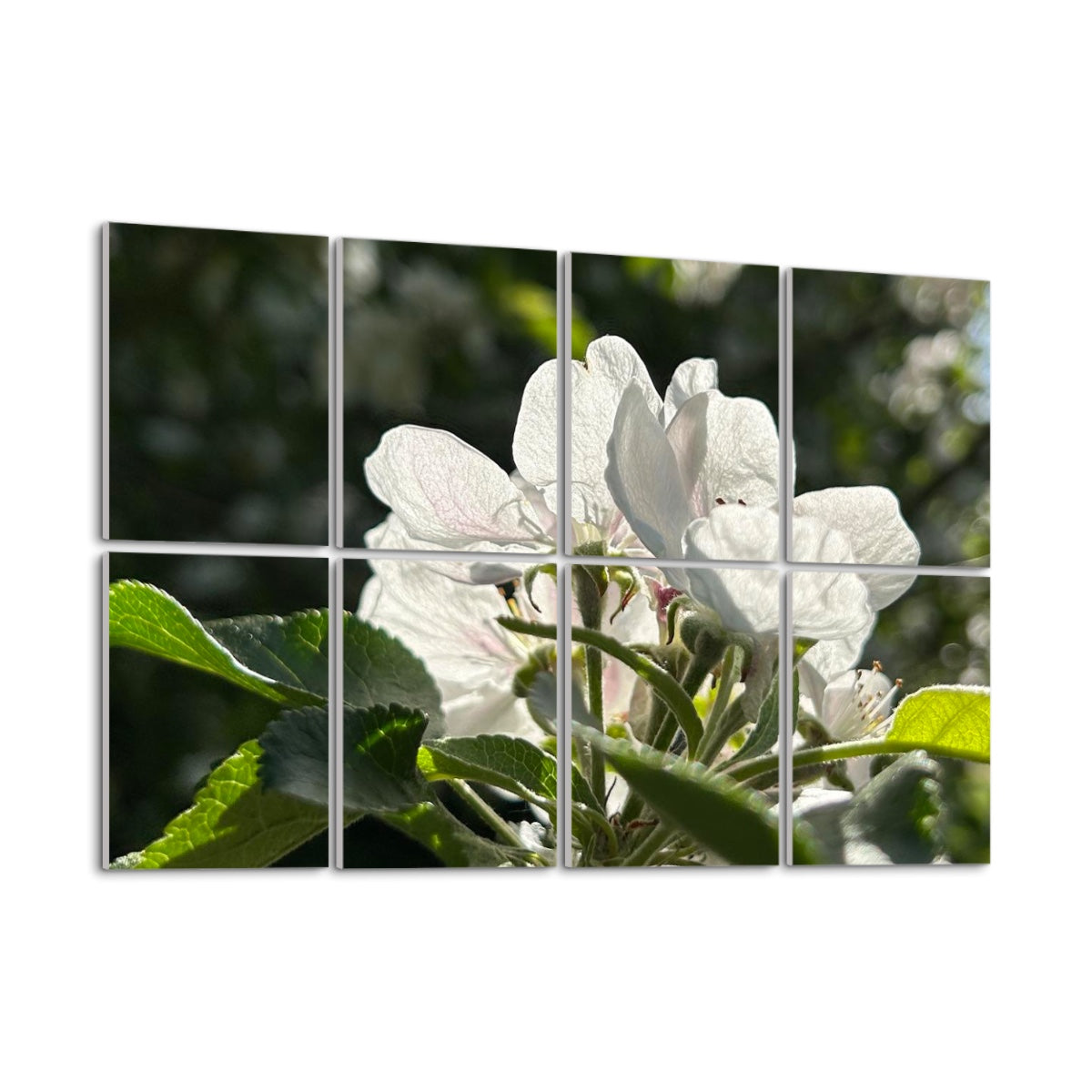 Left angle view of floral acoustic panels featuring white blossoms and fresh green leaves lit by afternoon sun.
