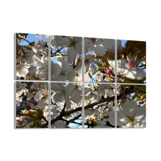 Angled left view of acoustic panels featuring sunlit white blossoms and branches, with sky visible behind.