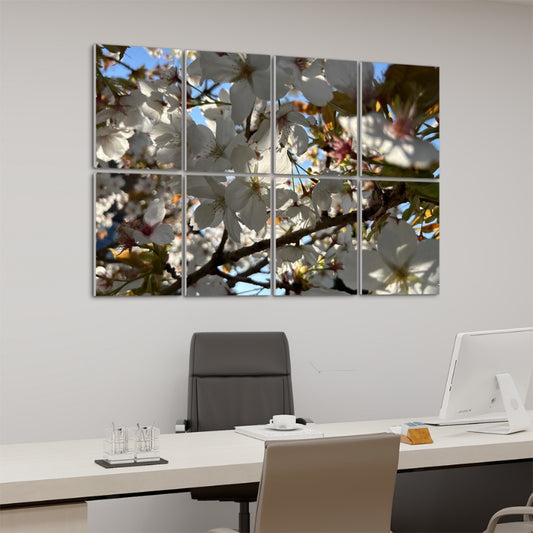 Angled left view of acoustic panels featuring sunlit white blossoms and branches, with sky visible behind.