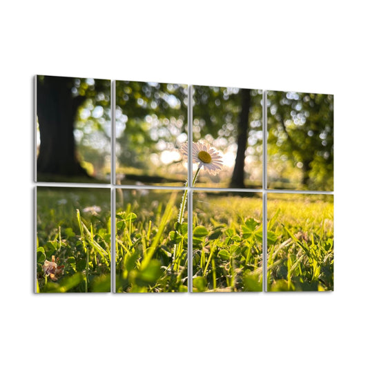 Left angle view of Full color image of a single daisy in golden afternoon light surrounded by sunlit green grass, divided between 8 floral decorative sound absorbing panels.