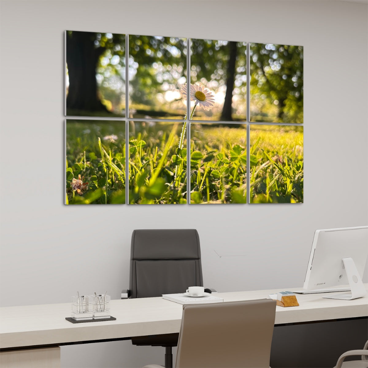left angle view, Full color image of a single daisy in golden afternoon light surrounded by sunlit green grass, divided between 8 floral decorative sound absorbing panels.