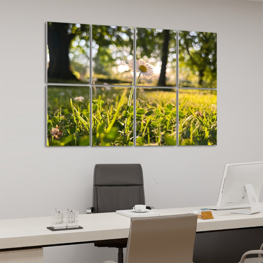 left angle view, Full color image of a single daisy in golden afternoon light surrounded by sunlit green grass, divided between 8 floral decorative sound absorbing panels.