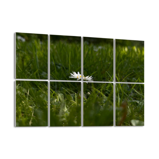 Angled left-side view of 8-panel full color floral acoustic wall art featuring a daisy in shaded grass, with depth and warm natural detail.