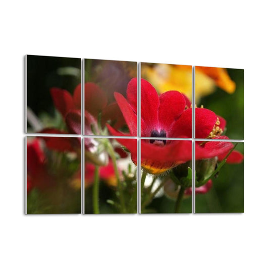 Left-angle view of Red Nemesia floral wall panels in full color showing flower depth, texture, and light.