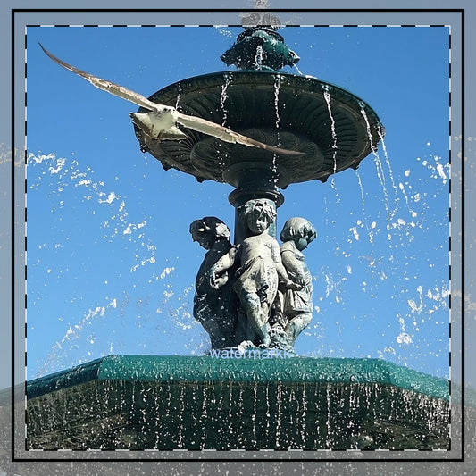 Throw Pillow featuring seagull from Lisbon