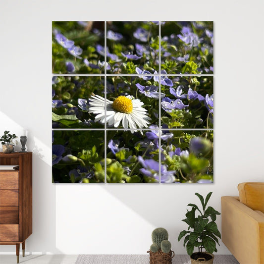 Front view of 9-panel acoustic wall art featuring a single white daisy with a yellow center surrounded by purple-blue wildflowers in daylight.