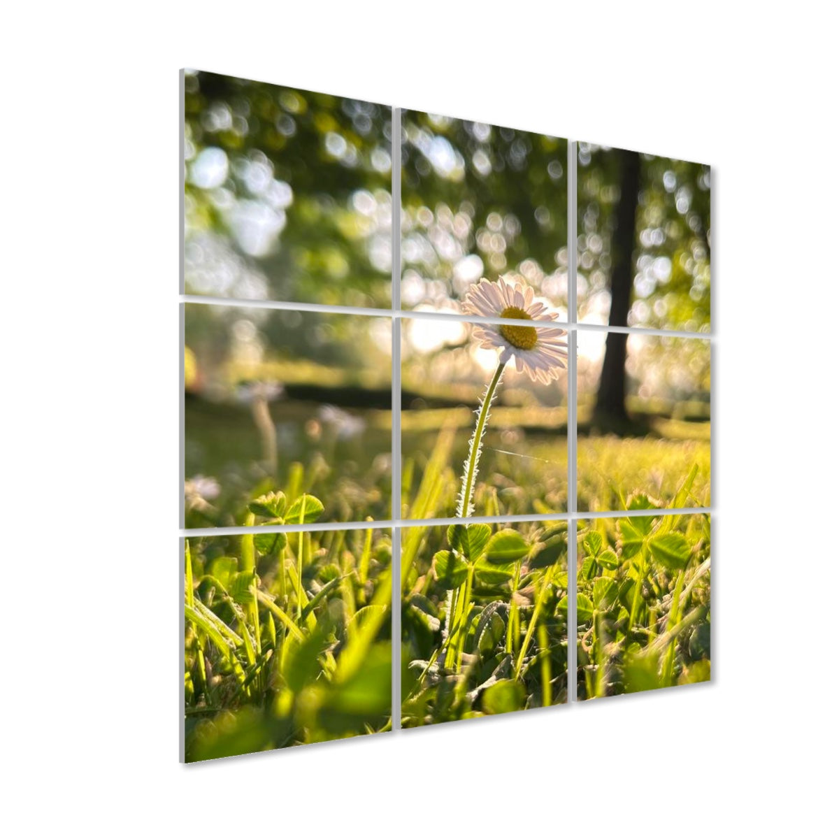 Left-side view of floral acoustic panels featuring a daisy lit by warm afternoon sun, surrounded by vivid grass and filtered light.