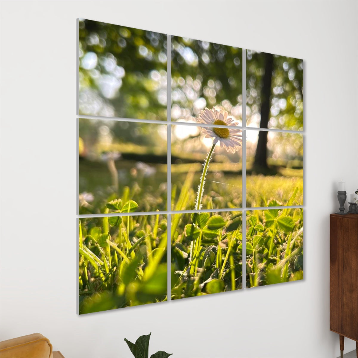 Left-side view of floral acoustic panels featuring a daisy lit by warm afternoon sun, surrounded by vivid grass and filtered light.