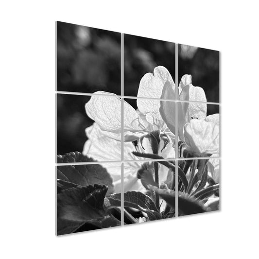 Angled left-side view of grayscale acoustic panels showing textured flower petals in black and white with deep contrast.